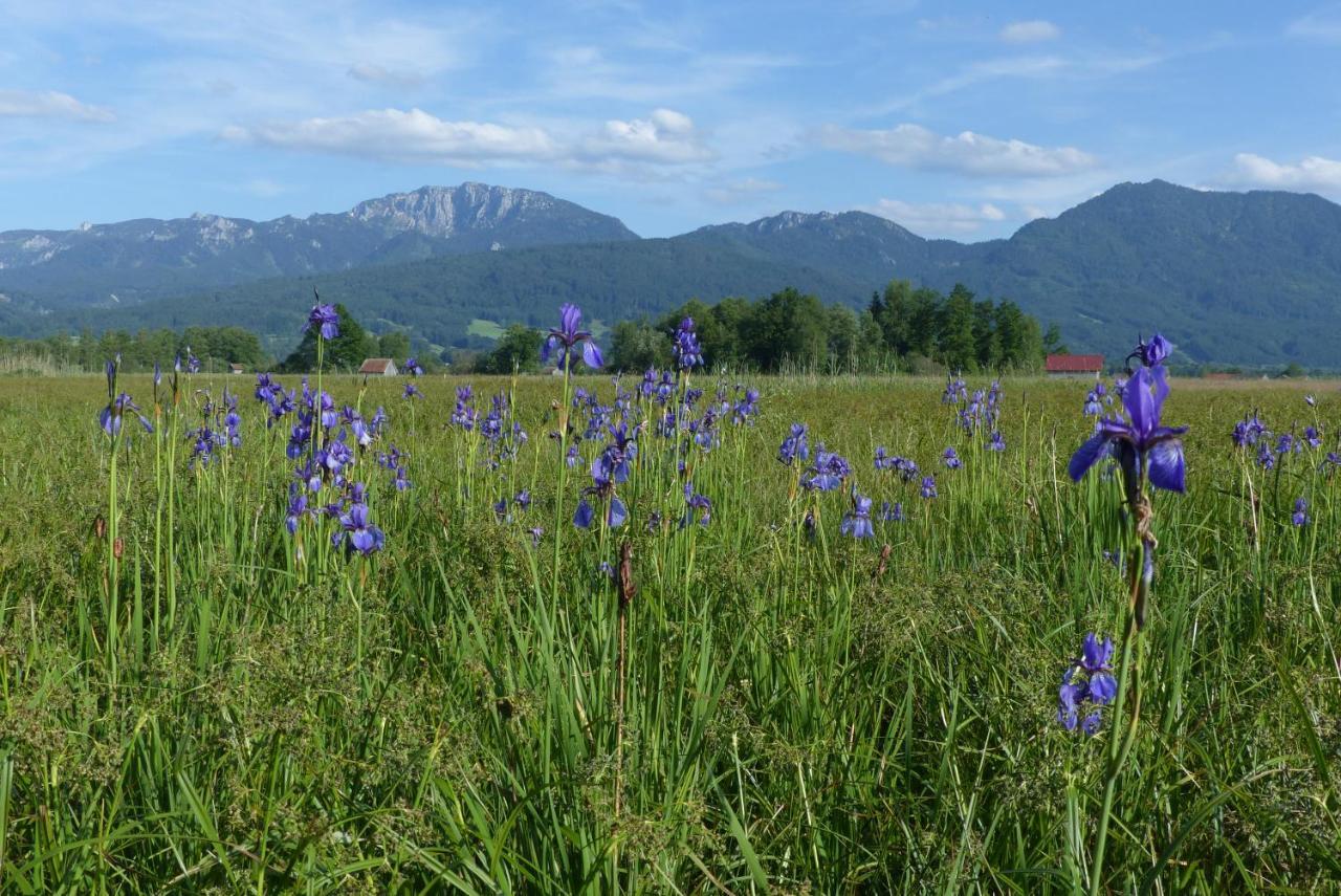 Zentrum Fuer Umwelt Und Kultur - Gaestehaus Und Jugendbildungseinrichtung Im Maierhof Benediktbeuern Buitenkant foto